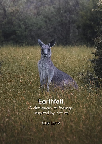 Earthfelt